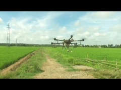 AcNPV Pesticide microbien contre la pyrale du maïs Bacillus Thuringiensis Lutte antiparasitaire