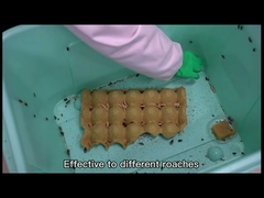 Médicament de ménage de gel répulsif de cafard de grande pureté résistant