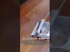 Gel biologique de larves d'œufs de cafards pour lutter contre les cafards