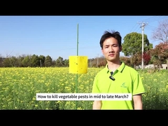 Agriculture Insecticide biologique chou chenille diamants larves de la gueule arrière pesticide biologique