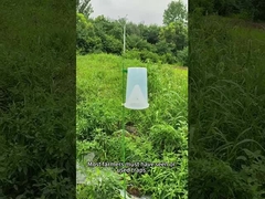 piège à ravageurs piège à insectes betterave de l'armée vers dans le maïs chou vers brocoli piège