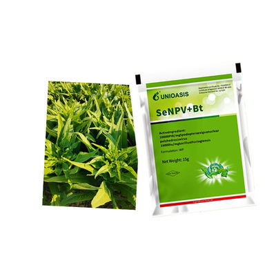 UNIOASIS Biological Pesticide with Spodoptera Exigua Nuclear Polyhedrosis Virus for No Residue and Safe Crop Protection
