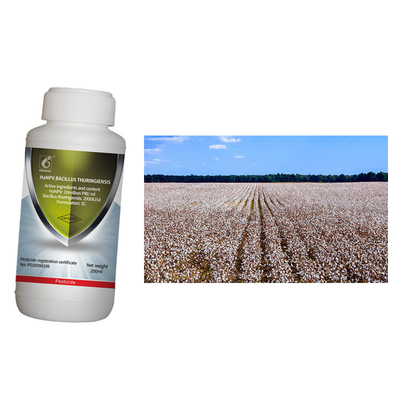 Chili pepper pests helicoverpa assulta oriental tobacco budworm killer wholesale bio pesticide 