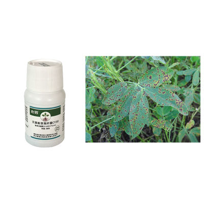 Versatile Bacterium Fungicide Bacillus Velezensis Improve Soil CY30 Agricultural Industrial Potential