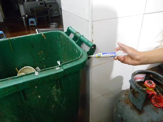 Professional Biological Roach Extermination Bait Gel Cockroach Killer Insecticide