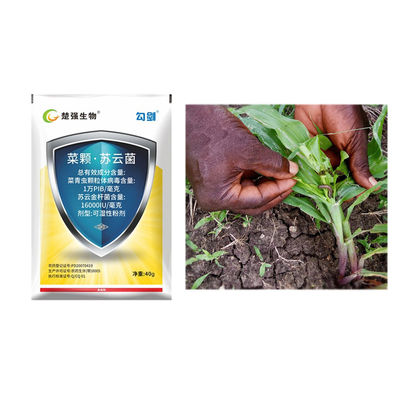 Organic Pesticide for Cabbage Worm Control with Low Environmental Impact and 2 Years Shelf Life