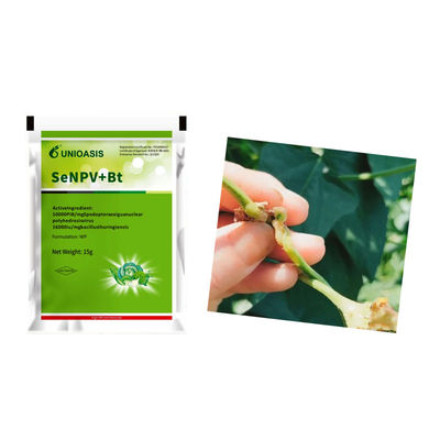 Natural Organic Pesticide for Maize Crops with 20g Per 15L Water Application for Beet Armyworm Control
