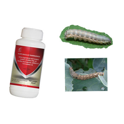 Pesticide AcNPV Agricultural Farm Insecticide Kill Pine caterpillar American White Moth pests
