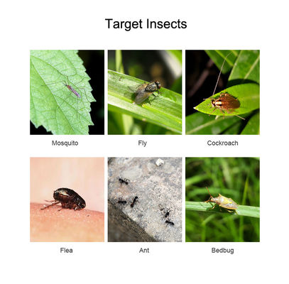 Plant Active Ingredients Insect Insecticide Natural Pyrethrin Kill Mosquitoes Flies Fleas