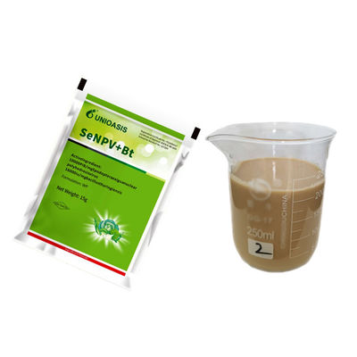 Organic Biological Insecticide Natural Pesticide Powder with 10000 PIB/mg SeNPV+16000IU/mg Bt No Pesticide Residue Effective on Cabbage Worm