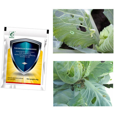 PrGV Bt Biological Pesticide for Cabbage Worms Low-Toxic Organic