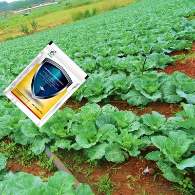 Eco-friendly Biological Insecticide with 10000 PIB/mg PrGV+16000IU/mg Bt for No Pesticide Residue Vegetable Protection