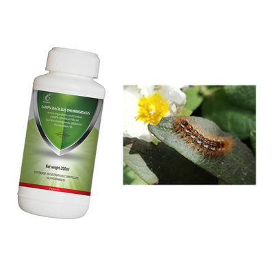 Green Tea Tree Pest Bio Pesticide EoNPV Outstanding Resistance to Drug Resistance Stubborn Pests