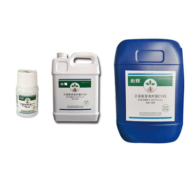 Economical Pesticide Bacillus velezensis Thick Green Leaves irrigation root blade spray tomato chili 