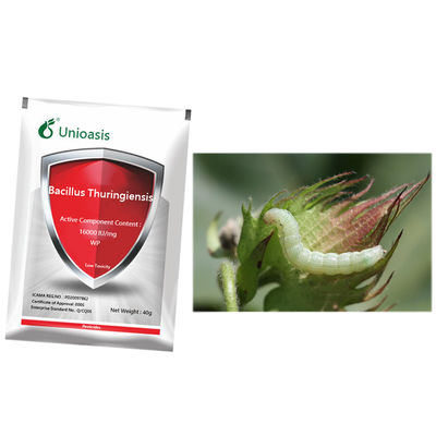 Wide application insecticide spray bacillus thuringiensis kill beet armyworm systemic effect