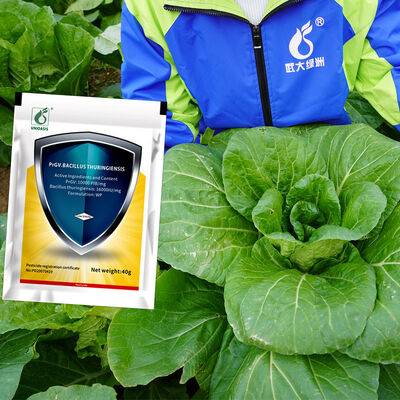 UNIOASIS PrGV + Bt Molluscicide Powder for Vegetable Pest and Cabbage Caterpillar Control with 10000 PIB/mg PrGV 16000IU/mg Bt