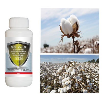 Miraculous Pesticide HaNPV Kill Tobacco Helicoverpa Assulta Cotton Professional Insecticide