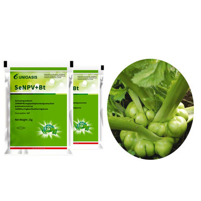 Organic Biological Insecticide Natural Pesticide Powder with 10000 PIB/mg SeNPV+16000IU/mg Bt No Pesticide Residue Effective on Cabbage Worm