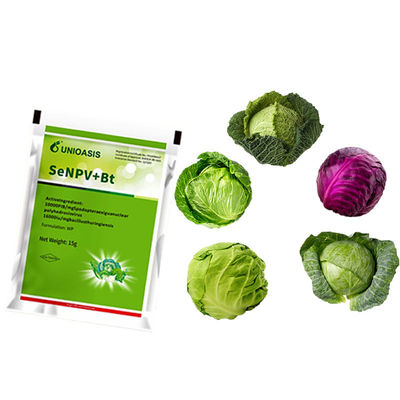 Natural Organic Insect Viral Pesticide Biopesticide for Brassicaceous Vegetable with 10000 PIB/mg SeNPV+16000IU/mg Bt Targeting Spodoptera Exigua NPV