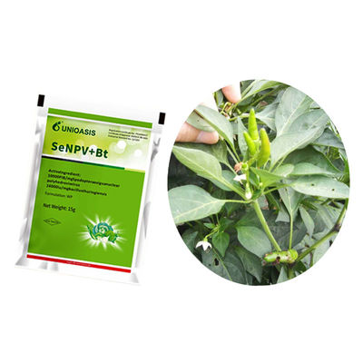 Natural Organic Insect Viral Pesticide Biopesticide for Brassicaceous Vegetable with 10000 PIB/mg SeNPV+16000IU/mg Bt Targeting Spodoptera Exigua NPV