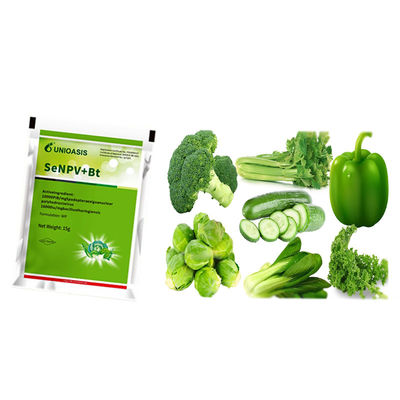 Natural Organic Insect Viral Pesticide Biopesticide for Brassicaceous Vegetable with 10000 PIB/mg SeNPV+16000IU/mg Bt Targeting Spodoptera Exigua NPV