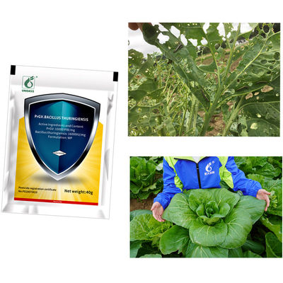 100% Natural Organic Biological Insecticide with 10000 PIB/mg PrGV+16000IU/mg Bt for Eco-friendly and Safe Long-lasting Pest Control