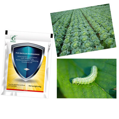 Organic Pesticide Biological Insecticide with 10000 PIB/mg PrGV+16000IU/mg Bt Effective on Cabbage Worm Eco-friendly and Safe