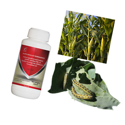 Microbial Corn Earworm Pesticide Bacillus Bt Thuringiensis Organic Farming